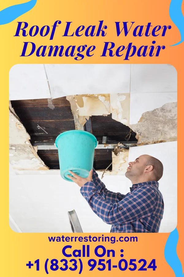 Roof Leak Water Damage Repair in Mammoth, WY